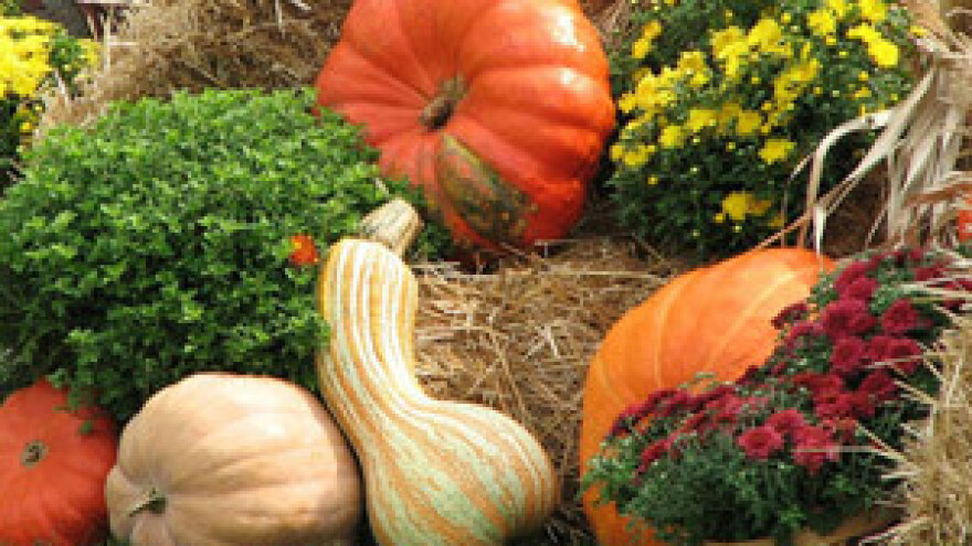 Obnova mlina iz bajke na seoskom gospodarstvu Družbe Pere Kvržice