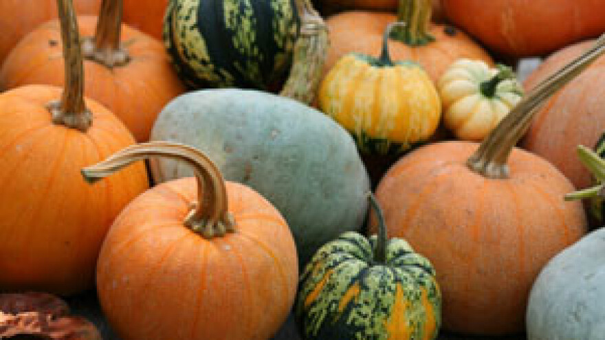 8. Bundevijada u Vrbovskom