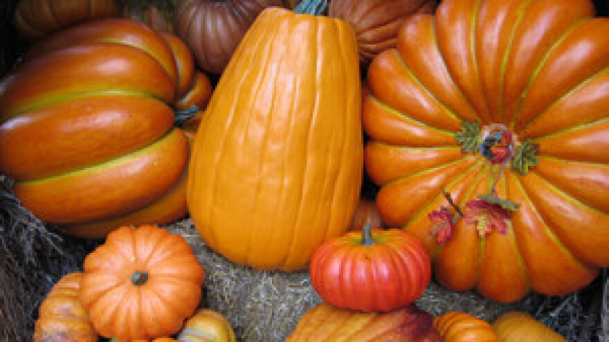 6. Međunarodni Poljosajam