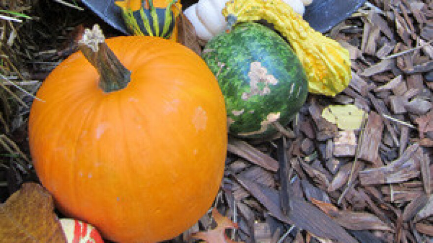 Potpisivanje ugovora VIP projekata