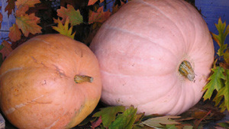 Pripreme za korištenje EU fondova u novom programskom razdoblju 2014. -2020.