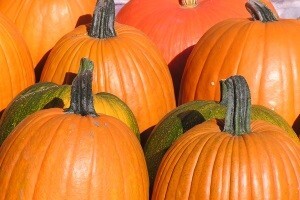 Dioklecijanovi podrumi postali oaza zdrave hrane