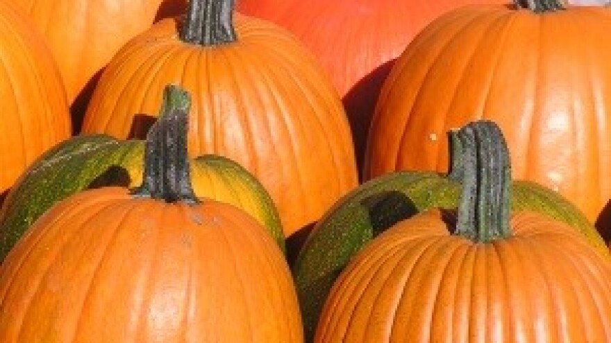 Dioklecijanovi podrumi postali oaza zdrave hrane