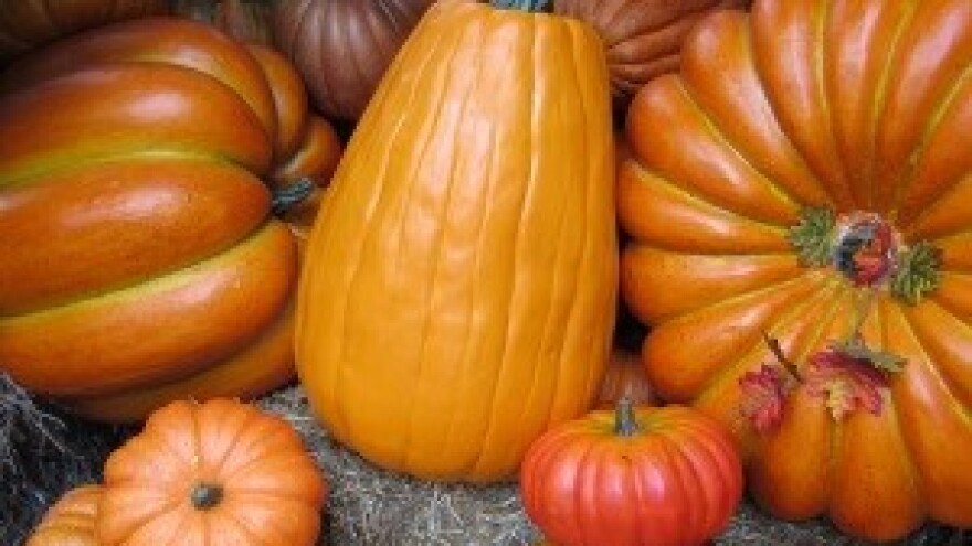 3. Izložba bučinog ulja Sjeverozapadne Hrvatske