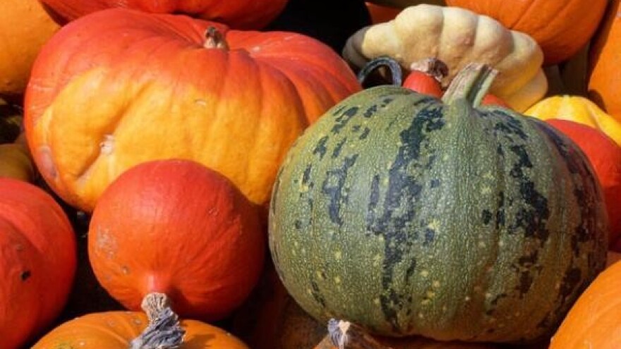 Jesenskim sajmom dominarat će prehrambena industrija