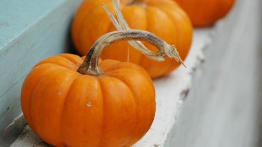 Obitelj Ipša uredila stogodišnji salaš