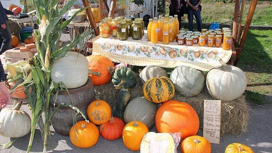 Bundevijada u Vrboskom!