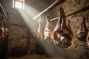 Bura, sol i raslinje za izvorni dalmatinski pršut