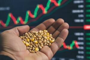 Buran tjedan na svjetskom tržištu žitarica i uljarica