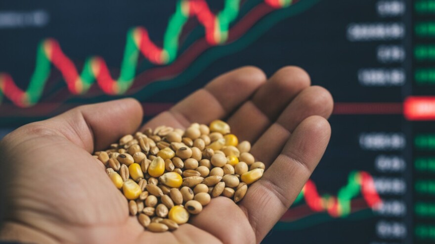 Buran tjedan na svjetskom tržištu žitarica i uljarica