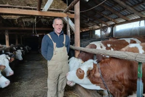 Odrastao je čuvajući krave, sada ima svojih 65 grla. Svu žensku telad čuva za sebe
