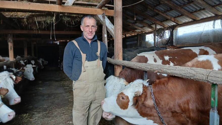 Odrastao je čuvajući krave, sada ima svojih 65 grla. Svu žensku telad čuva za sebe