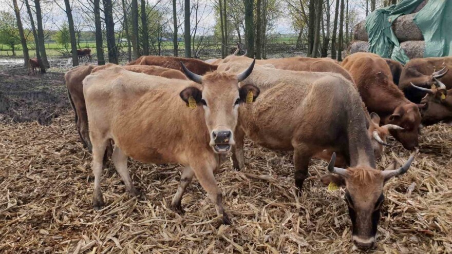 Novi konkurs Ministarstva poljoprivrede - podnošenje zahteva do 17. juna