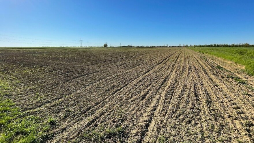 Dani pred nama pogoduju proljetnoj sjetvi, ali i razvoju biljnih bolesti