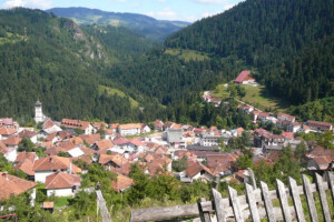 Korovom obrasla kvalitetna oranična površina