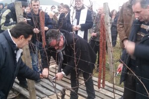 Povećanje indeksa prodaje vina!