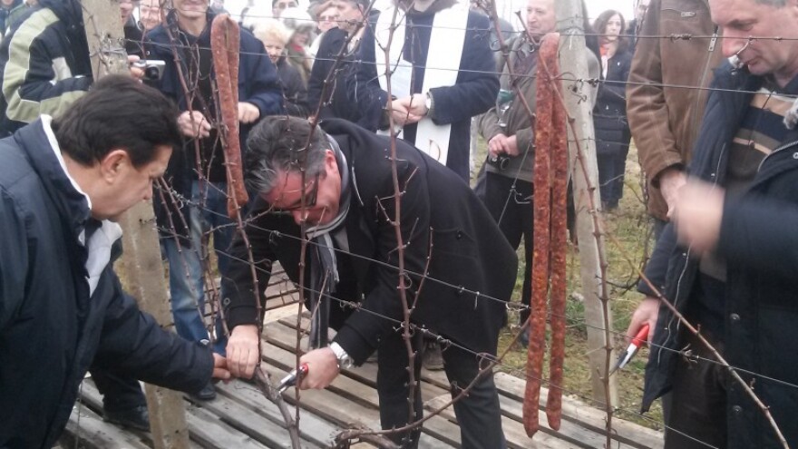 Povećanje indeksa prodaje vina!