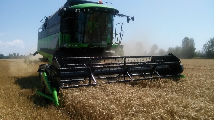 Niska razina proteina ruši cijenu na 1,05kn/kg?