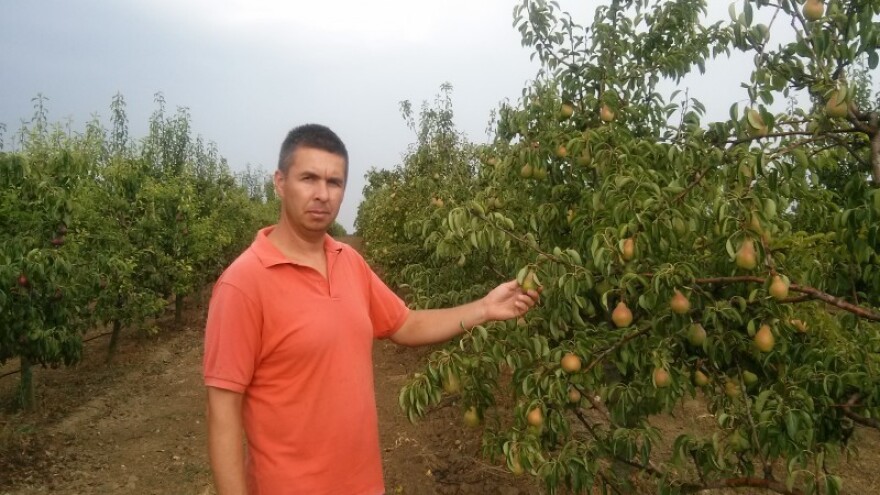 Nedostaje mu samo - voda!