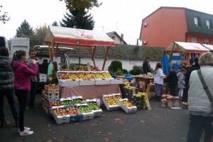 Za boljitak ili tek mrtvo slovo na papiru?