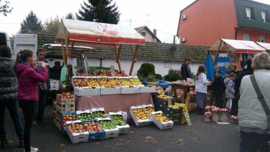 Za boljitak ili tek mrtvo slovo na papiru?