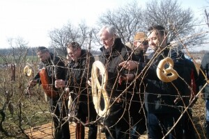 Vinogradarska godina donosi nova nadanja