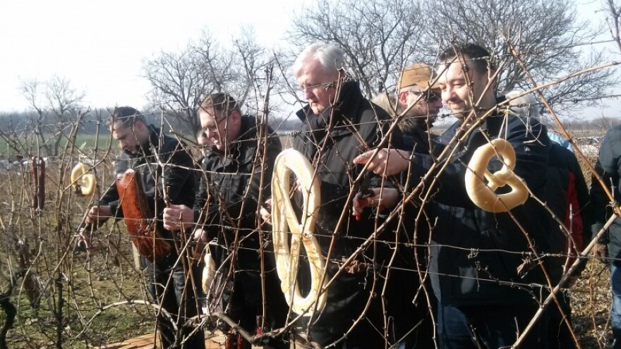 Vinogradarska godina donosi nova nadanja