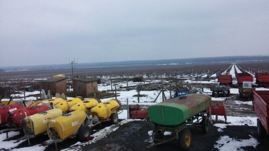 Dobro zapakirana vinska omotnica