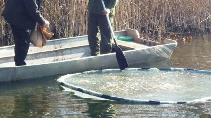 Lovci i ornitolozi nahranili ptice močvarice