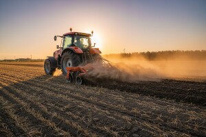 Careta - tanjurača velikog učinka i brzine rada!