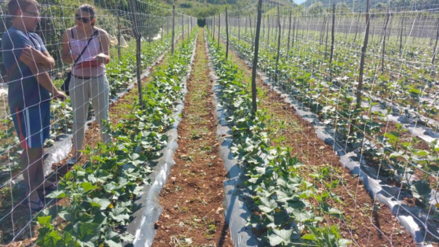 Prehrambeni div Kuehne gradit će fabriku u RS?