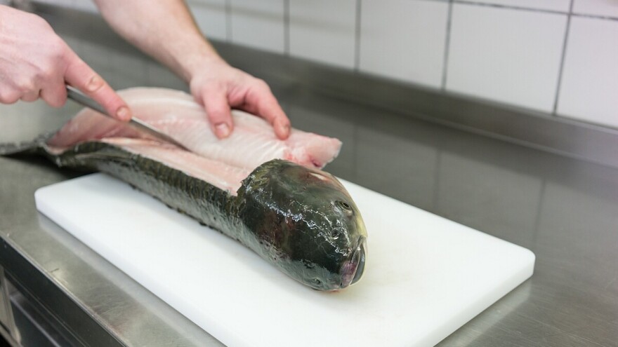 Zašto je važno češće jesti ribu?