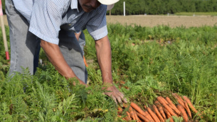 Španjolska povećava uvoz iz trećih zemalja
