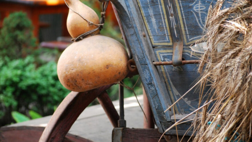 Kako osušiti tikvu sudovnjaču?