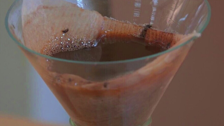 Uz vino i deterdžent lako ulovite azijske mušice - ovako napravite klopke