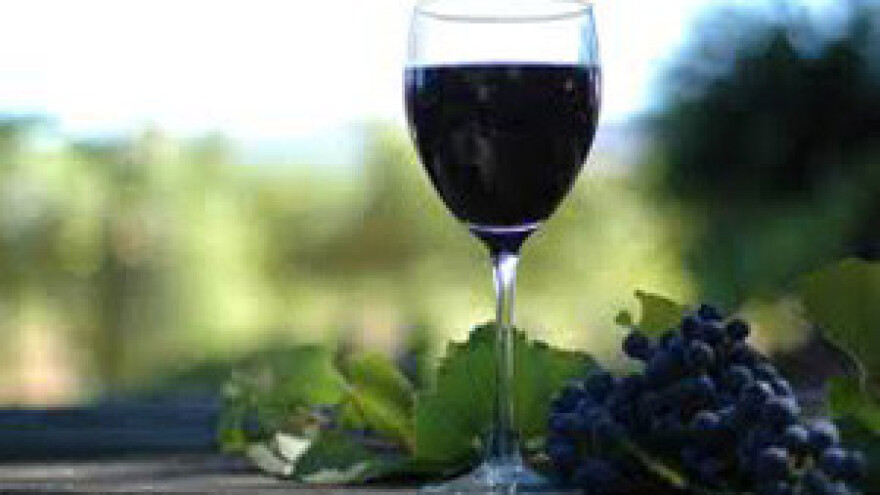 Donat wine festival ugostio vinare iz cijele Hrvatske