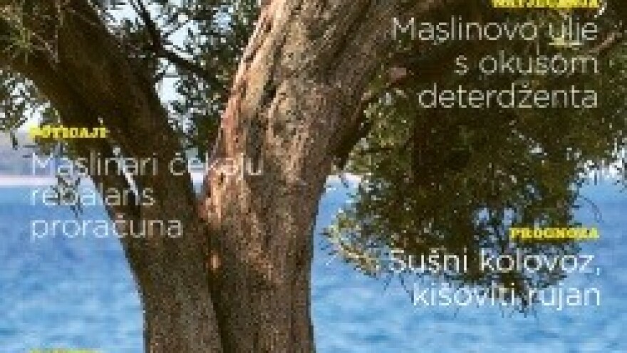 Novi broj časopisa Maslinar