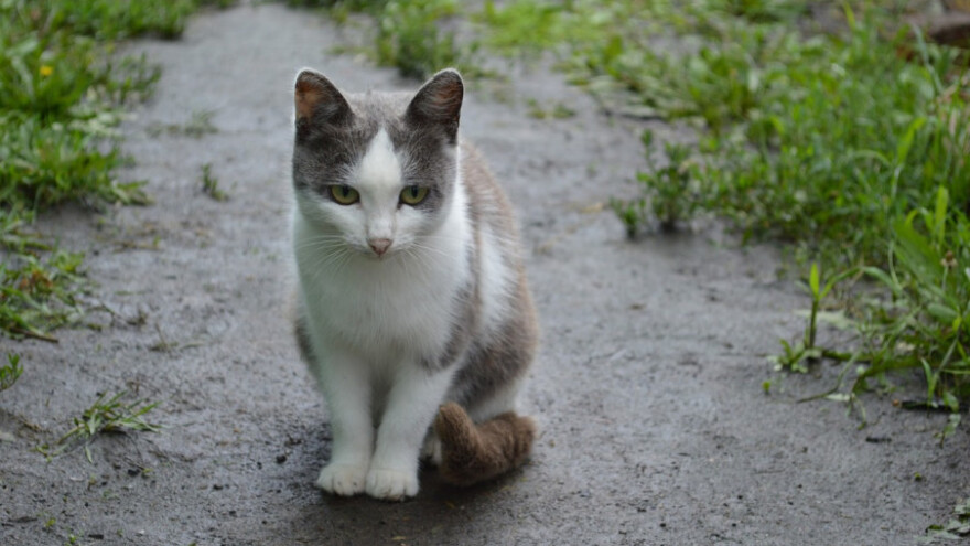Toplije, oblačno i kišno!