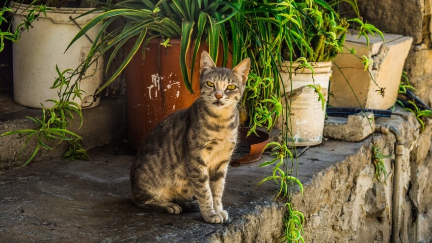 Javnost o Pravilniku o provedbi mjere 7