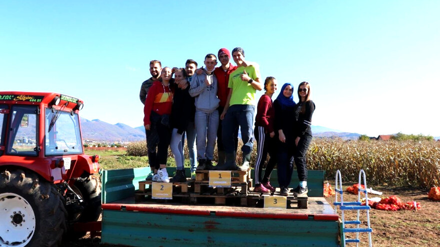 Studenti se takmičili u branju kukuruza - učestvovalo 17 ekipa sa 13 fakulteta