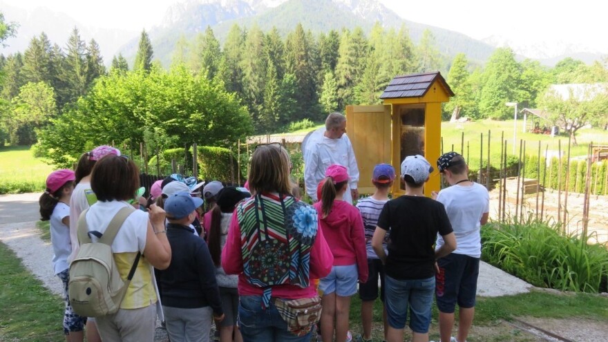 Toni Zupančič: Pčele nam pružaju umirujuću energiju i želimo da i drugi to dožive