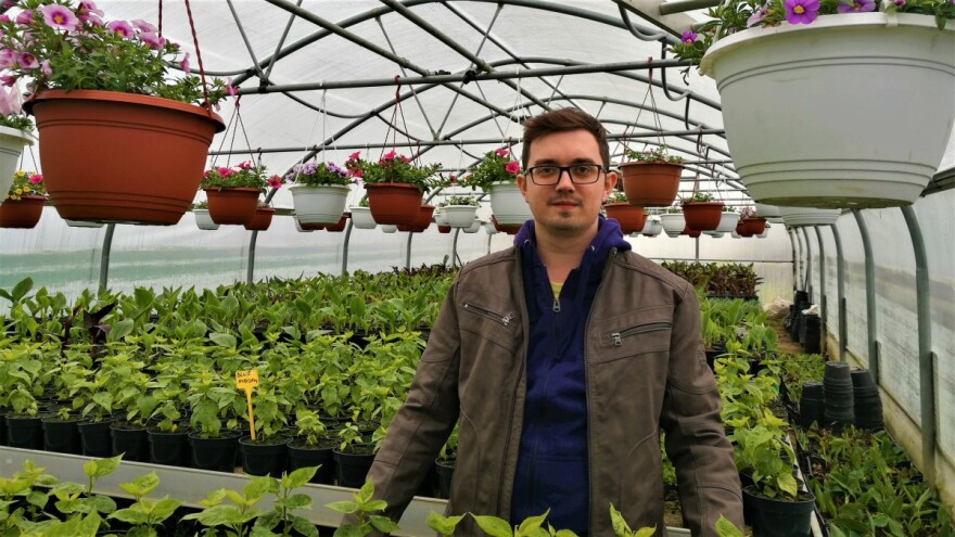 Da prežive krizu, cvjećari su uzgajali i povrće, a danas sin - programer planski širi proizvodnju