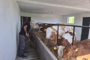 Zajedništvo na delu: Ljubiši izgorela štala do temelja, komšije mu pomogle da sagradi novu