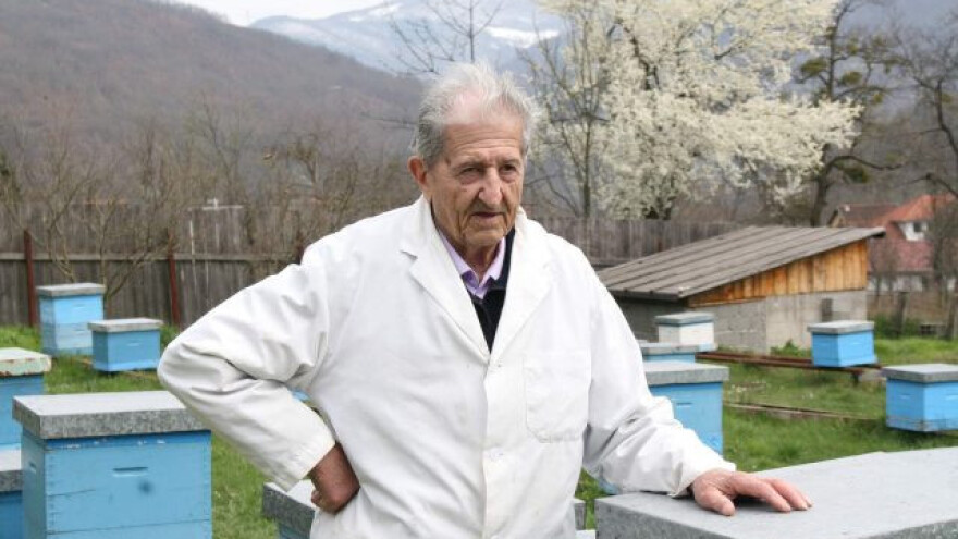 Fuštar: Kako dobiti 100 kg meda po jednoj košnici?