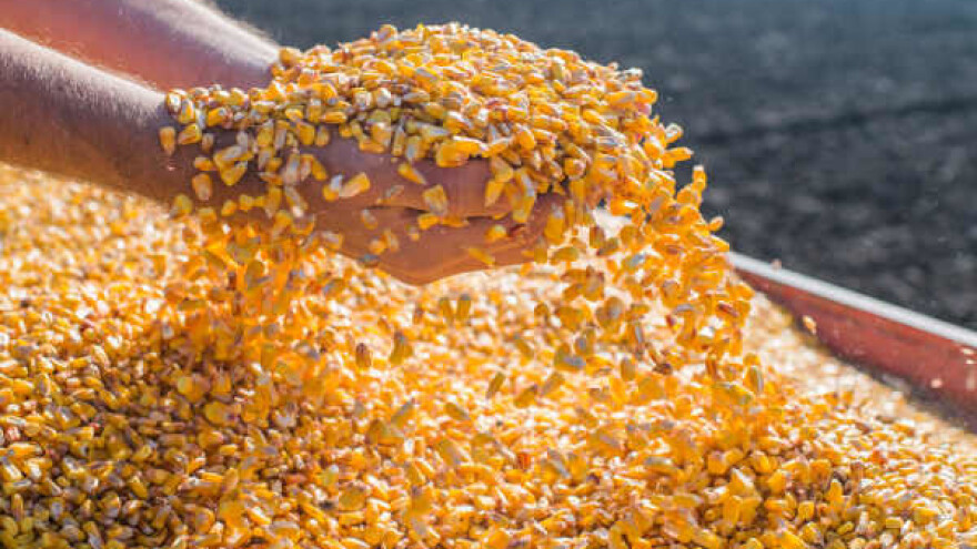 Niže cijene hrane u idućih 10 godina