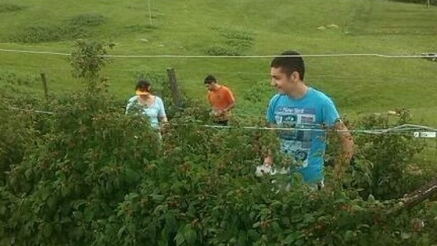 Gradski asfalt zamijenili selom i eko uzgojem