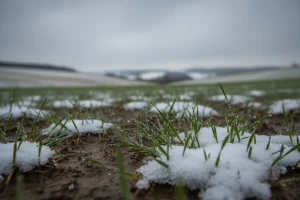 Čeka nas izmjena kiše i snijega i blagi rast temperature