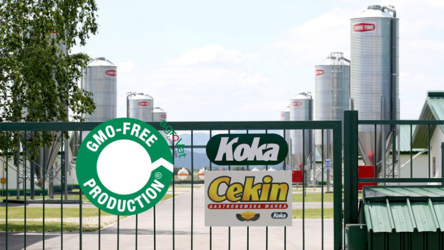 Vindija prva dobila oznaku za proizvod bez GMO-a!