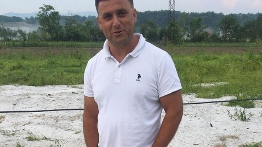 Amir Demirović: Šteta od nevremena na aroniji i malini je oko 15.000 KM, orahe i lješnake ne računamo