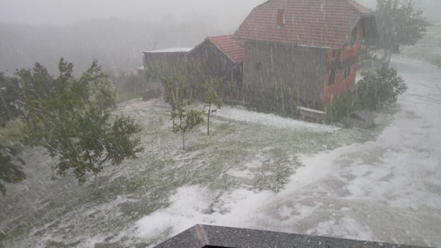 Amir Demirović: Grad mi je uništio plantažu aronije, oraha i malina